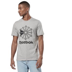 Reebok Classic Big Logo T Shirt Herren - Grau - DE 953-HWD